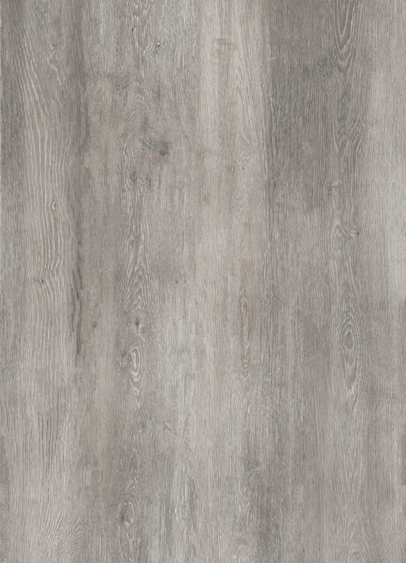 City oak 22-TOUCH