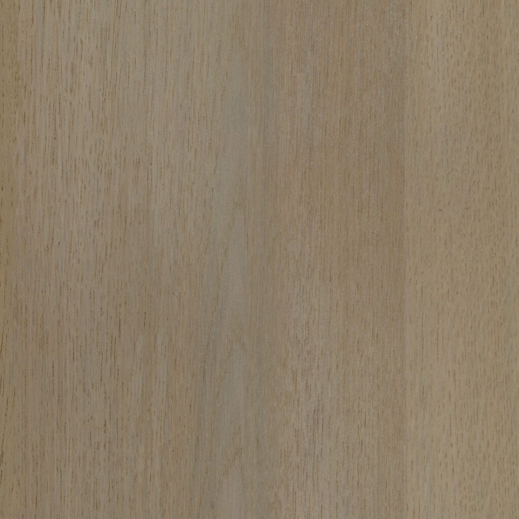 sabat oak French 22-TOUCH