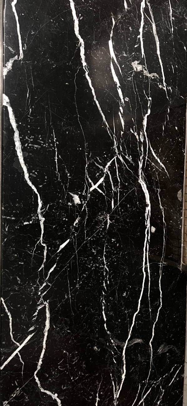 Black wild Classic-TOUCH